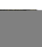 2026 new casual outdoor sports plus size fifth pants workwear shorts men's camouflage multi-pocket middle 1952 - FATAON2026 new casual outdoor sports plus size fifth pants workwear shorts men's camouflage multi-pocket middle 1952Mode HommeFATAON