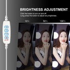 Ampoules LED détachables pour miroir de maquillage professionnel, alimentation USB, lumière pour miroir cosmétique, coiffeuse Hollywood, lumières de vanité