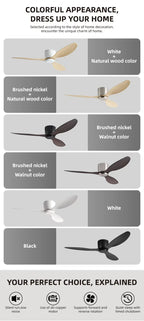 FUMANJIA Ventilateur de plafond CC ultra fin avec télécommande – Silencieux à 6 vitesses, 3 pales ABS, idéal pour les plafonds bas et les espaces minimisés (sans lumière)